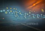 영천시, 영천 금호강변, 별빛이 밝은 밤이 찾아왔다!