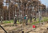 제50사단 영덕대대, 산불 피해 농가 일손지원 나서