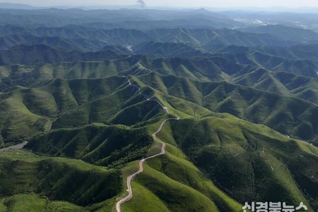 안동시, 산불피해 산림복구 기본계획 착수