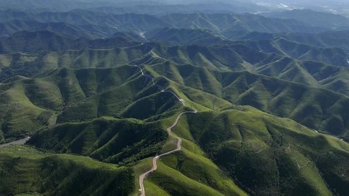 안동시, 산불피해 산림복구 기본계획 착수