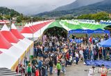 영주 풍기인삼축제·농특산물대축제, 시민·관광객 발길 ‘북적’