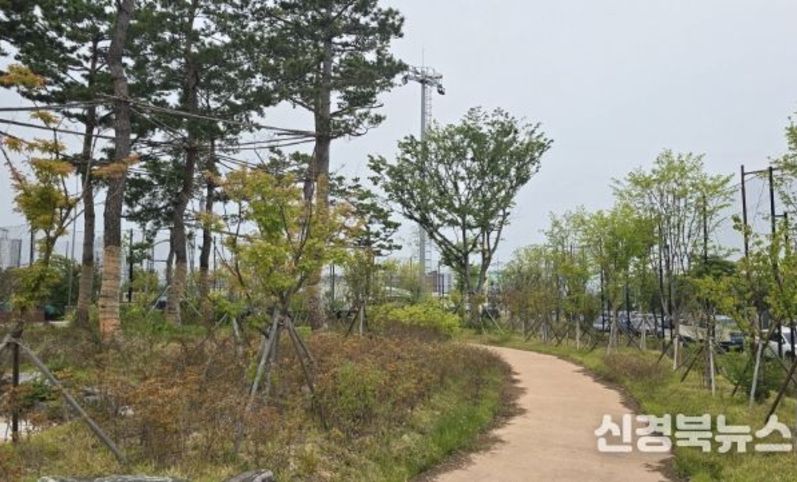 포항시 도시숲 온실가스 배출권 거래제 외부사업 추가 승인…전국 최다 보유