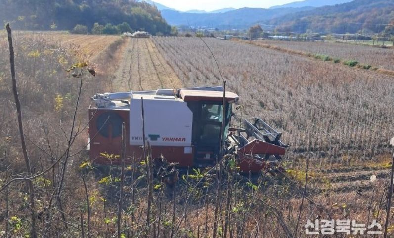 구미시, 영농대행단 4배 확대…농촌 일손난 정면 돌파