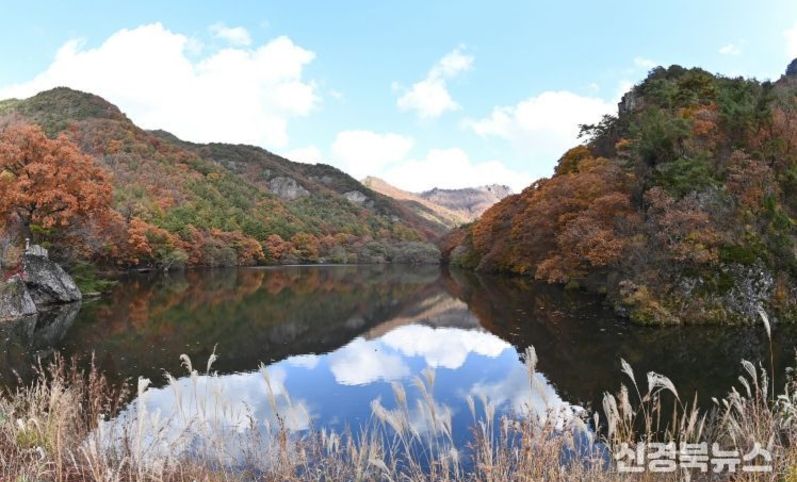 사계절 머무는 힐링도시 청송!