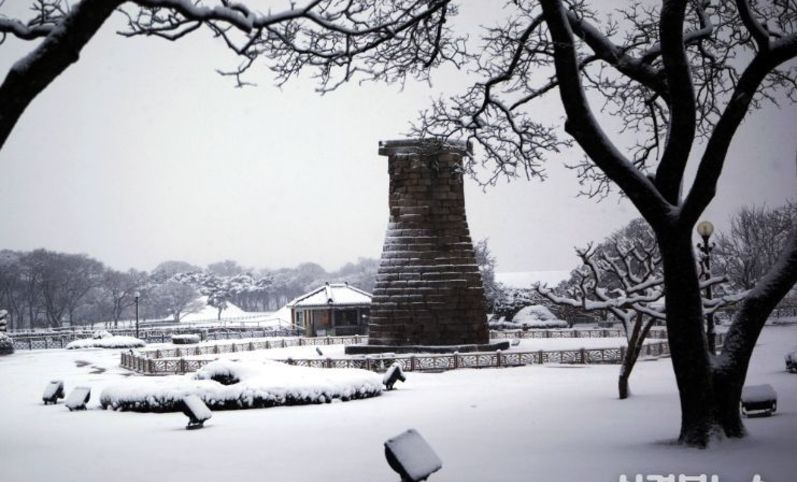 설 연휴, 천년의 시간을 걷다…빛으로 물든 고도 경주