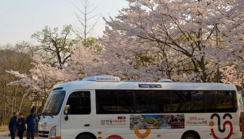 안동시티투어 버스 3월부터 본격 운행