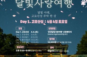 문경 달빛사랑여행, 벚꽃 터널 따라 4월 개막…야간 관광객 기대