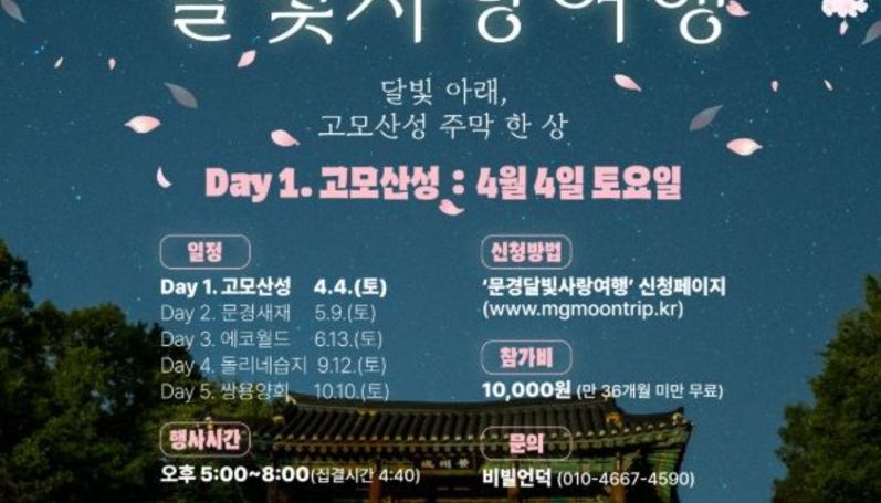 문경 달빛사랑여행, 벚꽃 터널 따라 4월 개막…야간 관광객 기대