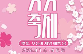 낙동강변 벚꽃길 ‘활짝’…2026 안동벚꽃축제 개막