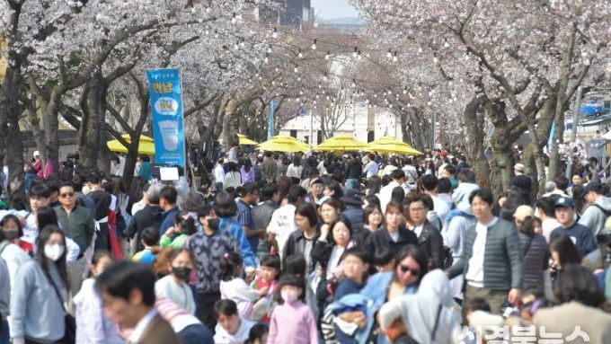‘경주 대릉원 돌담길 축제’ 4월 개막…주·야간 체험 프로그램 풍성