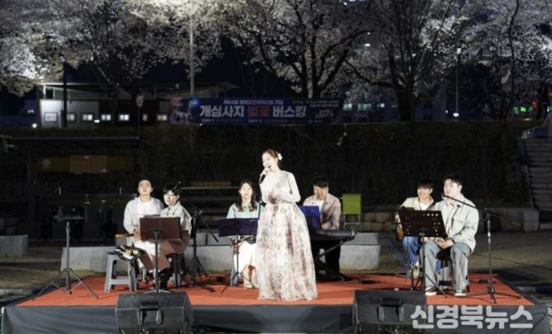 예천 개심사지 오층석탑서 벚꽃 버스킹…수백 명 감성 물들여