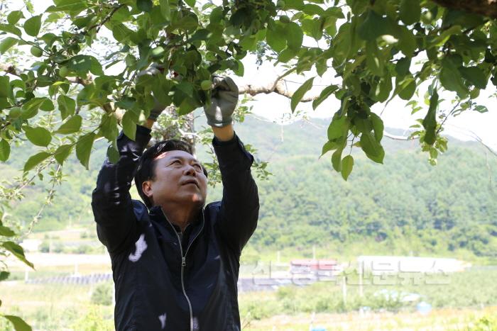 [크기변환]0530 권기창 안동시장  봄철 농촌일손돕기 나서 (1).JPG
