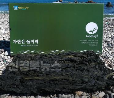 1._제공_미역제품3.jpg