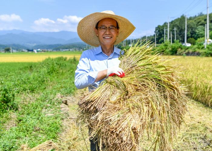 [크기변환]영주-1-5 박남서 영주시장이 8.15 광복쌀 첫 벼베기 후 수확의 기쁨을 만끽하고 있다.jpg