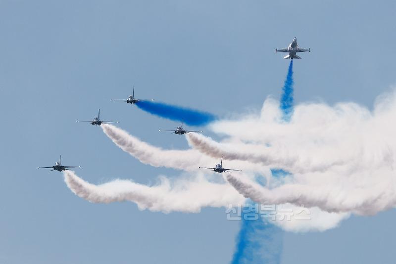 (예천군) 예천곤충축제 주말 인파 계속 예천 상공 수놓은 에어쇼 (2).JPG