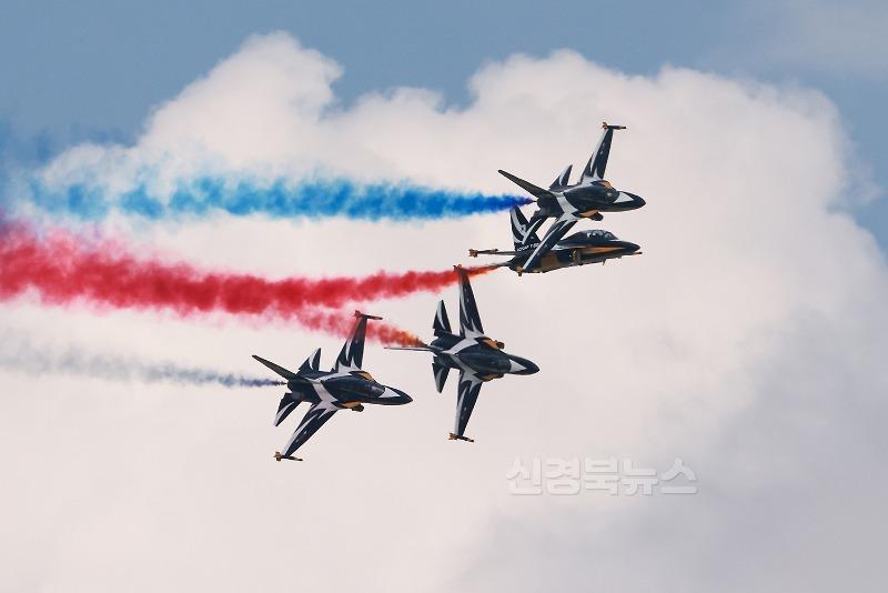 (예천군) 예천곤충축제 주말 인파 계속 예천 상공 수놓은 에어쇼 (4).JPG
