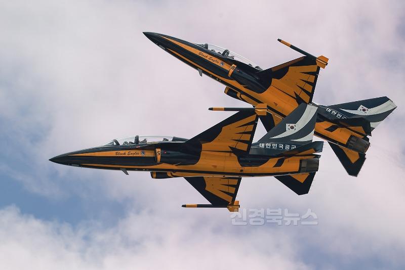 (예천군) 예천곤충축제 주말 인파 계속 예천 상공 수놓은 에어쇼 (3).JPG