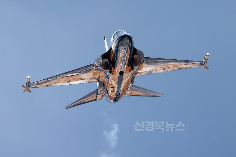 (예천군) 예천곤충축제 주말 인파 계속 예천 상공 수놓은 에어쇼 (6).JPG