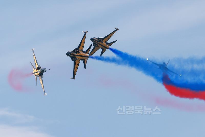 (예천군) 예천곤충축제 주말 인파 계속 예천 상공 수놓은 에어쇼 (5).JPG