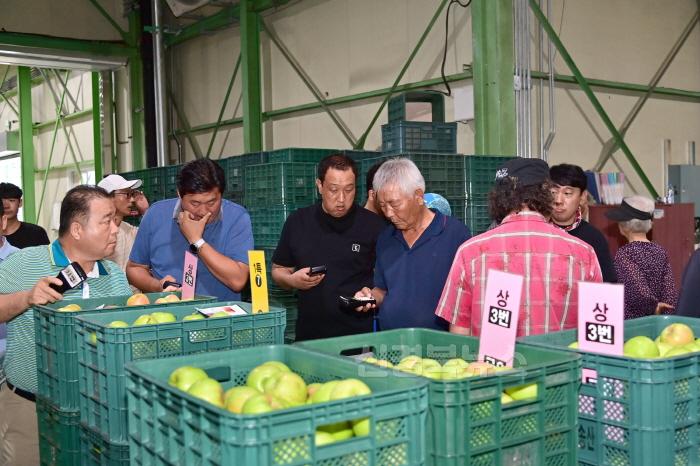 [크기변환]240820보도자료(청송군농산물공판장 개장, 2024년산 사과 경매 시작) (4).jpg