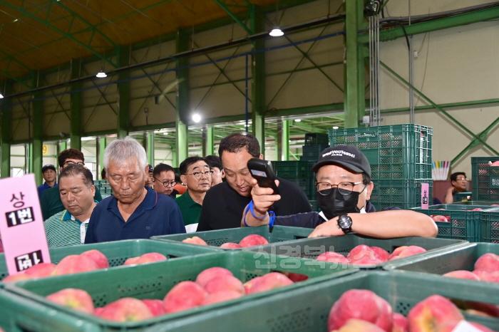 [크기변환]240820보도자료(청송군농산물공판장 개장, 2024년산 사과 경매 시작) (2).jpg