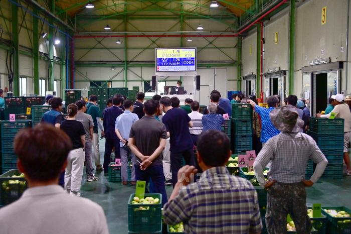 [크기변환]240820보도자료(청송군농산물공판장 개장, 2024년산 사과 경매 시작) (3).jpg