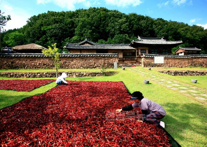 [크기변환]1-2 사진(2024영양고추HOT페스티벌 사전홍보).jpg
