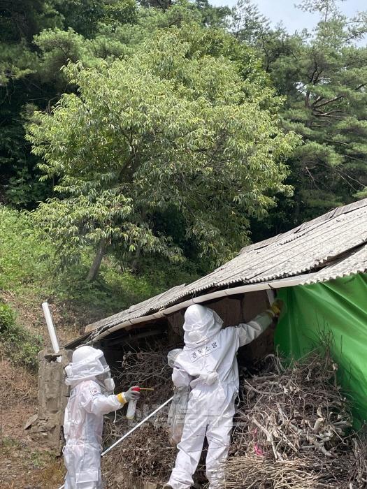 [회전][크기변환]청송소방서 벌초·성묘시기 벌 쏘임 사고 주의 당부 현장활동사진.jpeg