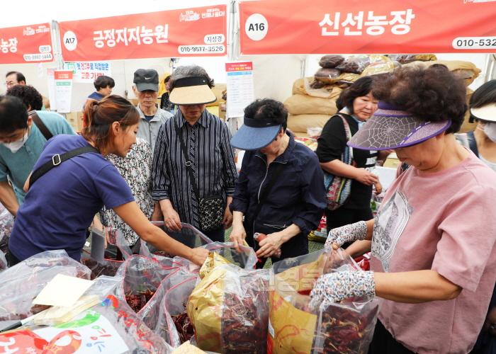 [크기변환]1-5 사진(2024년 영양고추 핫페스티벌 ).jpg