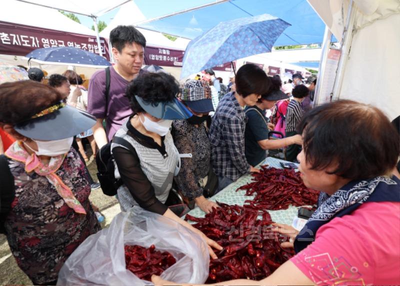 1-1. 사진(2024영양고추 HOT Festival 행사 성황리 종료).jpg