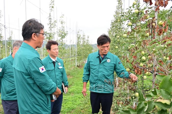 [크기변환]240902보도자료(윤경희 청송군수, 사과 고사목 과원 현장 점검[원인 파악 및 향후 대책 마련 주문]) (2).JPG