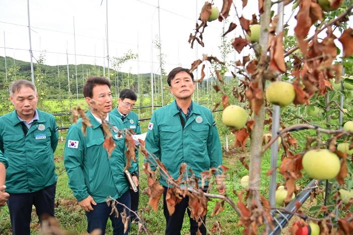 [크기변환]240902보도자료(윤경희 청송군수, 사과 고사목 과원 현장 점검[원인 파악 및 향후 대책 마련 주문]) (1).JPG