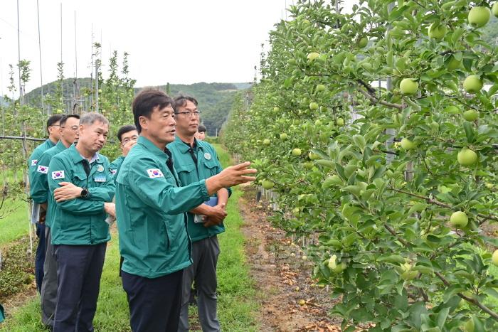 [크기변환]240902보도자료(윤경희 청송군수, 사과 고사목 과원 현장 점검[원인 파악 및 향후 대책 마련 주문]) (3).jpg
