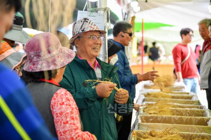 [크기변환]영주-1-2(지난해 사진)축제장 방문객이 뛰어난 품질의 풍기인삼을 보고 감탄하고 있다.jpg