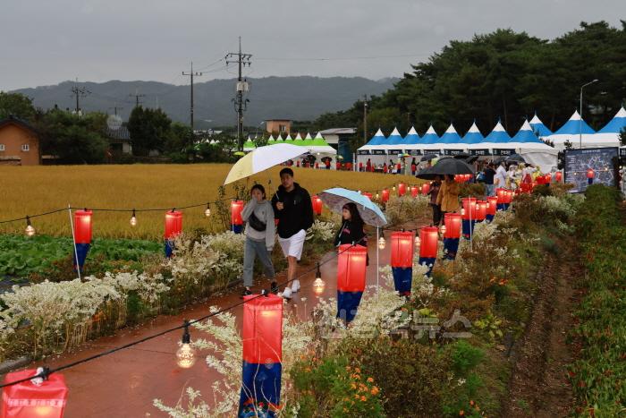 [크기변환](예천군) ‘2024 금당야행’ 성황리 마쳐 (6).JPG