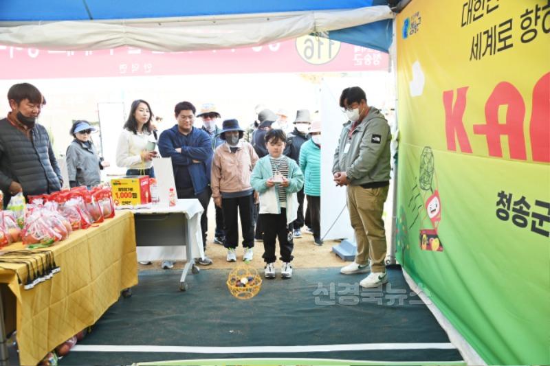 241023보도자료(제18회 청송사과축제 10월 30일~11월 3일, 5일간 개최[지난해축제-읍면체험부스]) (1).JPG