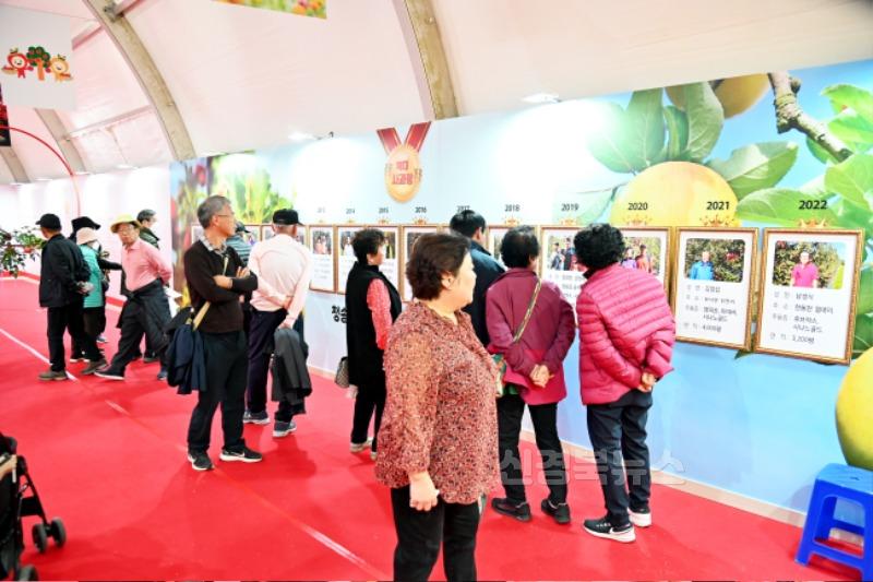 241023보도자료(제18회 청송사과축제 10월 30일~11월 3일, 5일간 개최[지난해축제-청송사과 전시 및 홍보관]).JPG