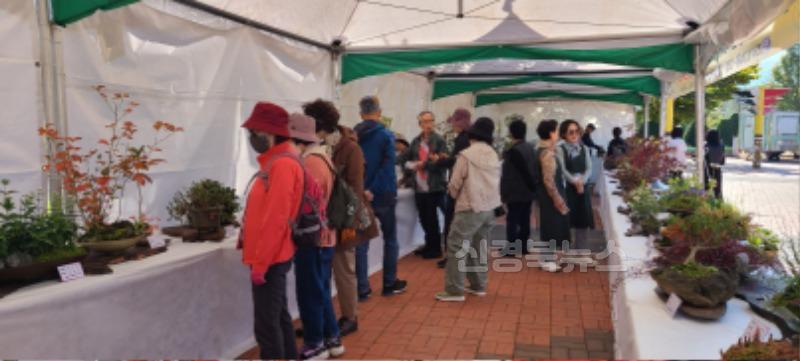 경산시-국화분재와 가을야생화 작품 전시회 개최(1).jpg