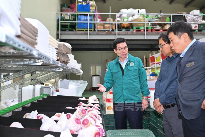 [크기변환]2-2_당도 높은 영덕산 신고배, 매년 수출실적 호조.jpg