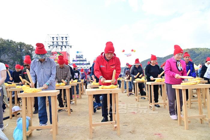 [크기변환]제18회 청송사과축제[꿀잼 사과 난타].JPG