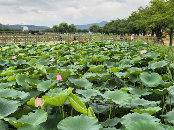 [크기변환]2._지산샛강1.JPG
