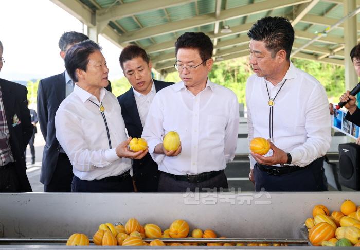 [크기변환]성주군사진(기획보도-성주참외 3대 혁신운동을 통한 참외산업 성장발판 마련) (4).jpg