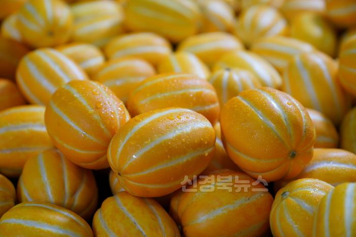 [크기변환]성주군사진(기획보도-성주참외 3대 혁신운동을 통한 참외산업 성장발판 마련) (1).JPG