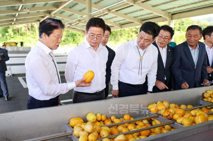 [크기변환]성주군사진(기획보도-성주참외 3대 혁신운동을 통한 참외산업 성장발판 마련) (5).jpg