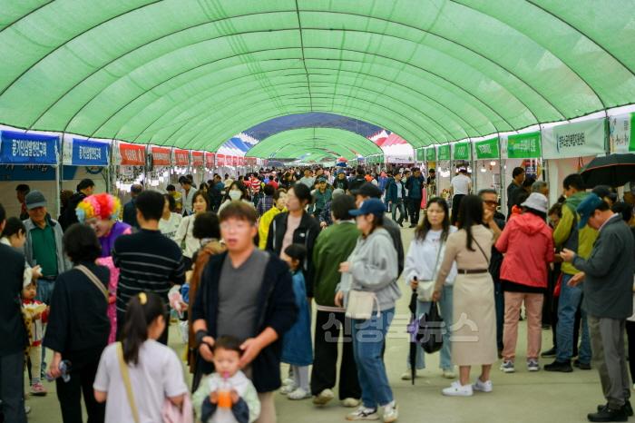 [크기변환]영주-1(농산업) 방문객들로 붐비는 _2024경북영주 풍기인삼축제_ 현장 모습.jpg