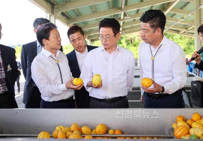 성주군사진(기획보도-성주참외 3대 혁신운동을 통한 참외산업 성장발판 마련) (4).jpg
