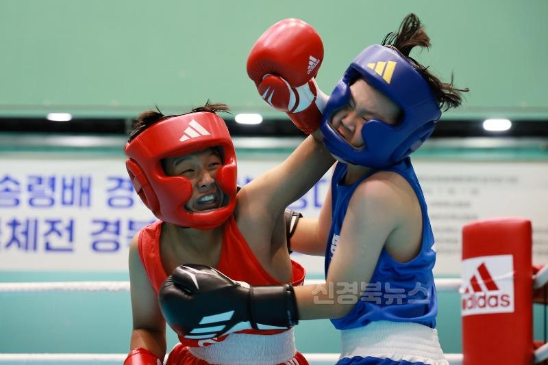 2024 07 27 예천석송령배 경북생활복싱대회 및 전국체전 경북대표선발대회(체육사업소) (10).JPG