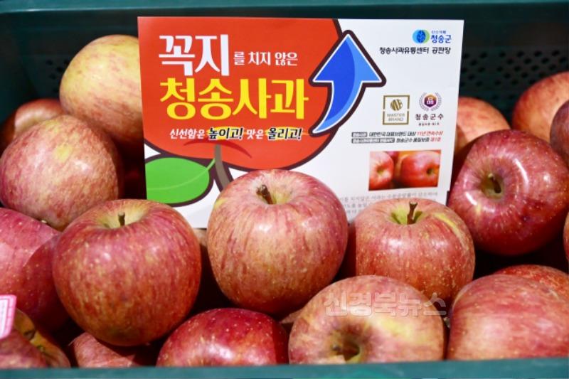 250102보도자료(청송군, 2025년 새해 군정운영 방향[1 부자되는 청송농업-꼭지 무절단 사과]).jpg