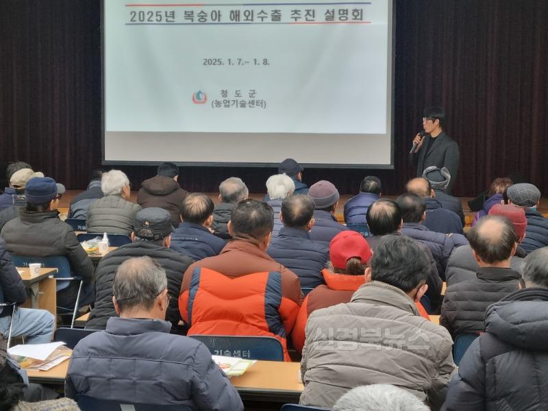 농업정책과)청도군, 복숭아 해외 수출 활성화를 위한 설명회 개최1.jpg