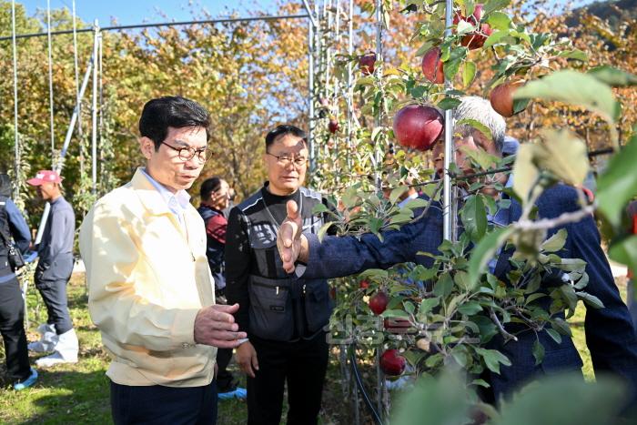 [크기변환]1-2_영덕군, 2025년 과수산업 육성에 28억 투입.jpg